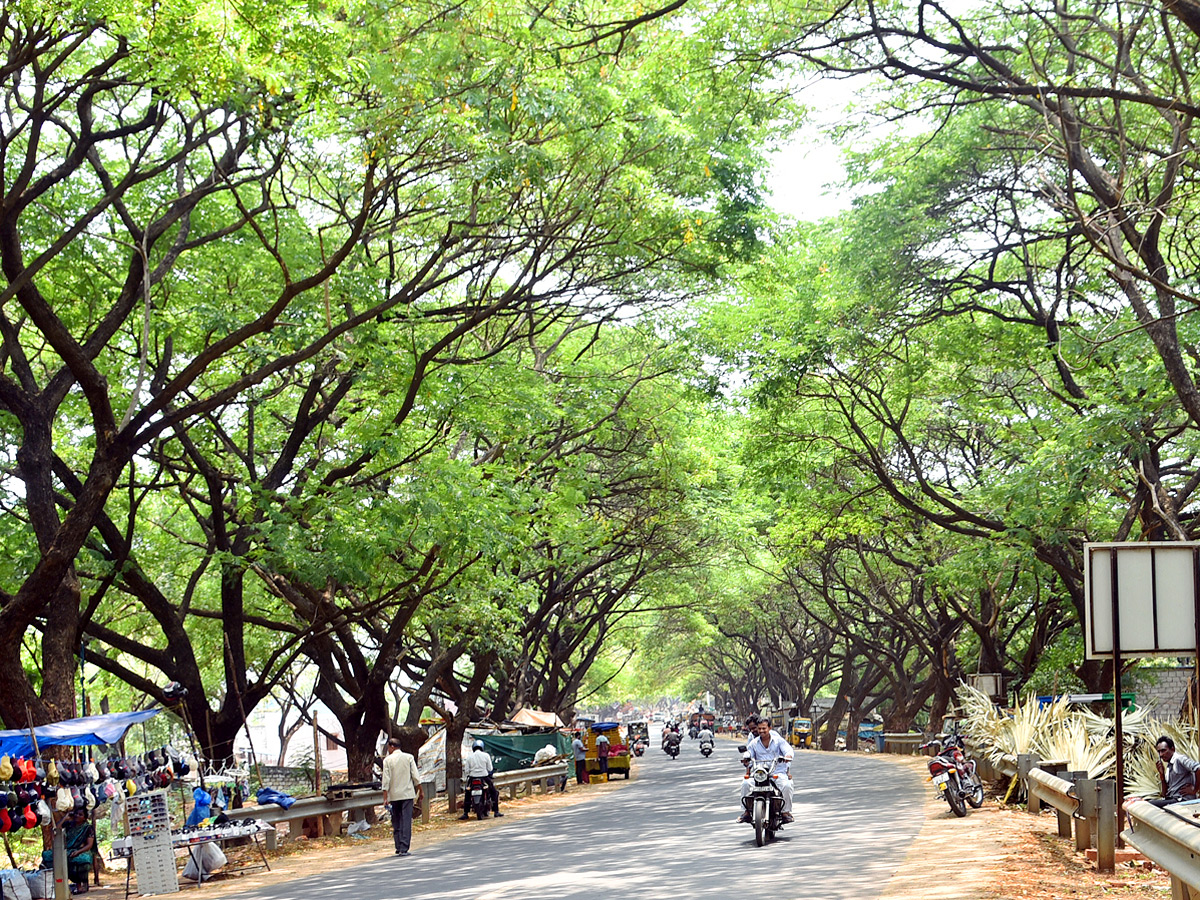 Best Photos of The Week in AP and Telangana Photo Gallery - Sakshi12