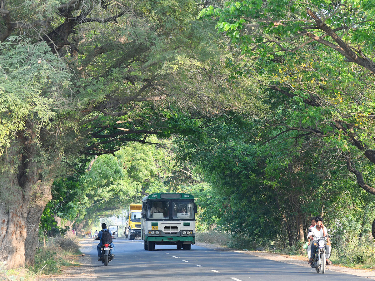 Best Photos of The Week in AP and Telangana Photo Gallery - Sakshi10