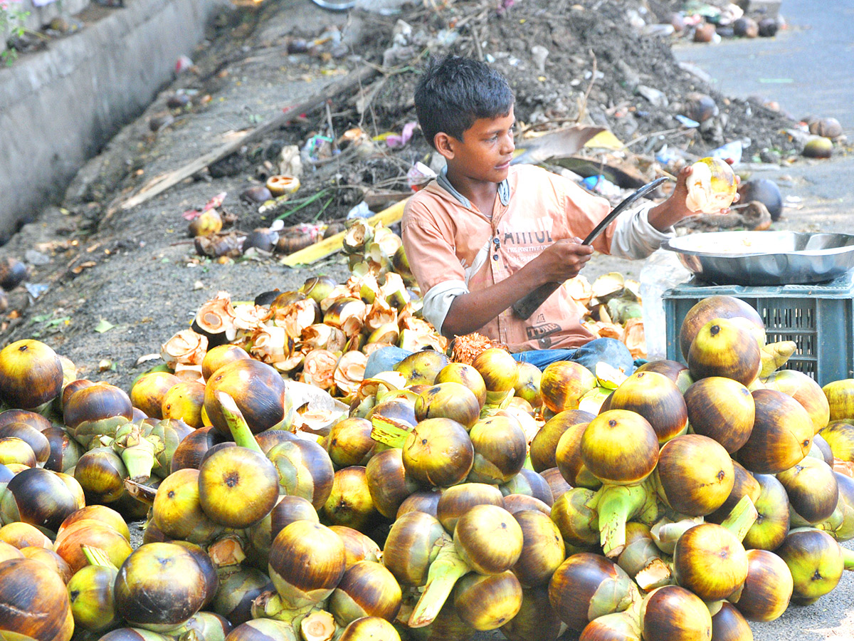 Best Photos of The Week in AP and Telangana Photo Gallery - Sakshi30