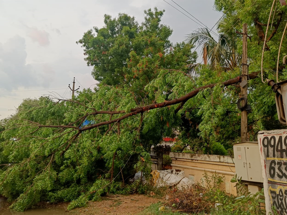 heavy rain in tirupati today photos - Sakshi27