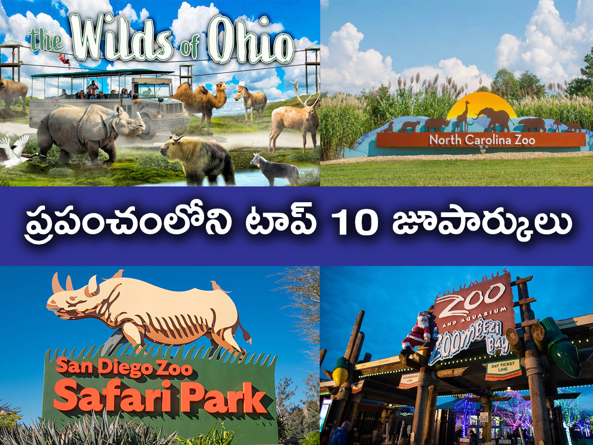 Top 10 Zoological Parks In The World - Sakshi1