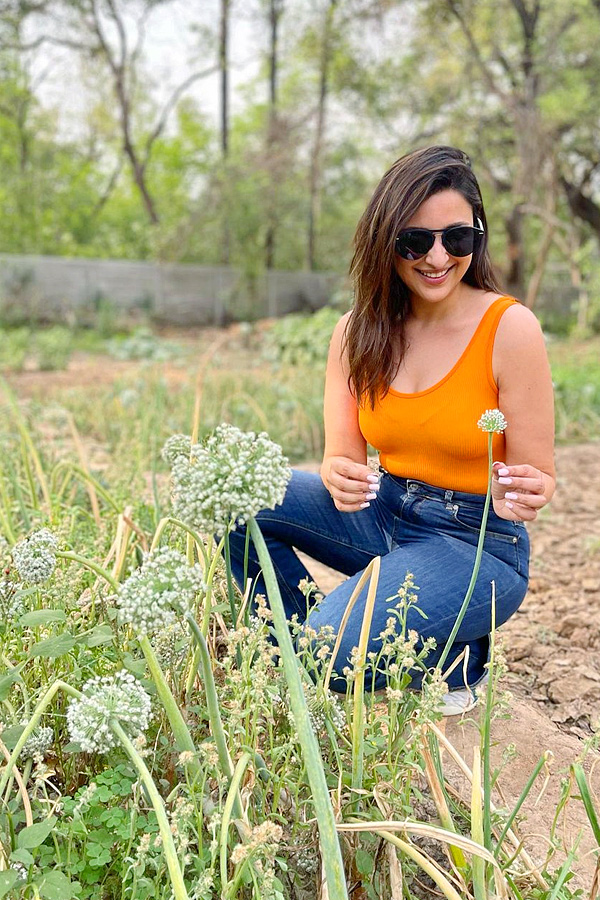 parineeti chopra Latest Photos - Sakshi12