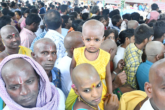 Simhachalam Chandanotsavam 2023 Photo Gallery - Sakshi19