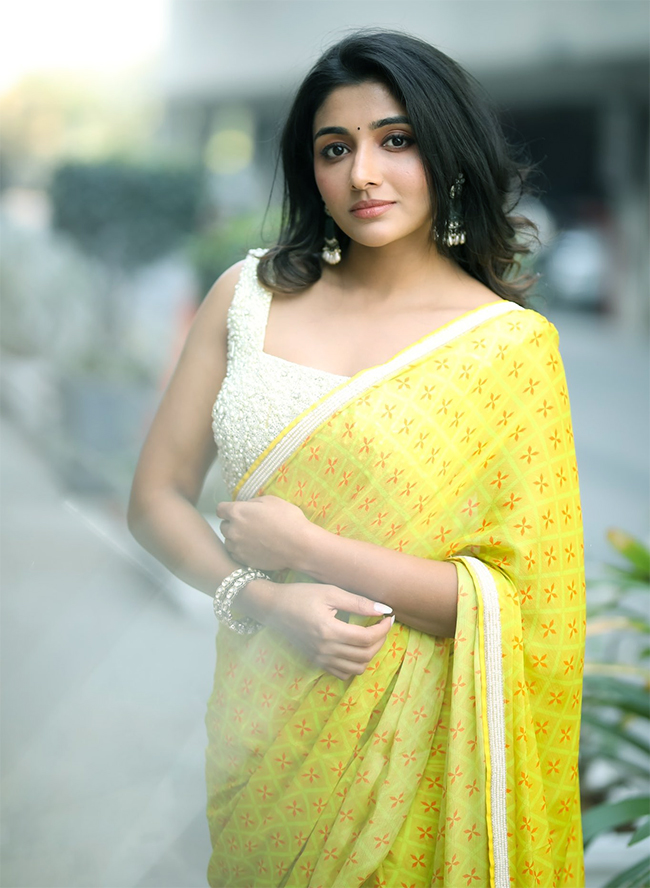 Actress Mirnaa Menon Pictures - Sakshi20