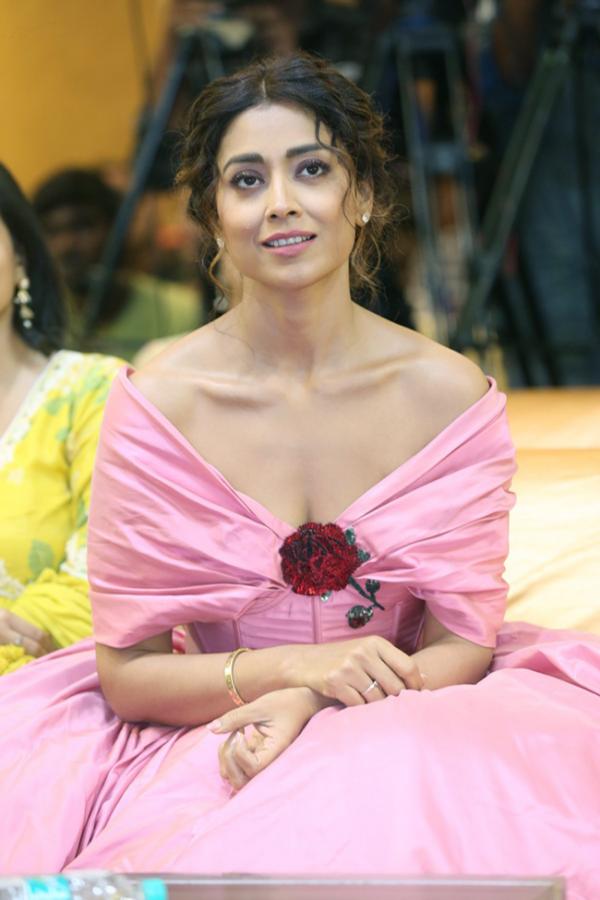 Actress Shriya Saran Stills - Sakshi5