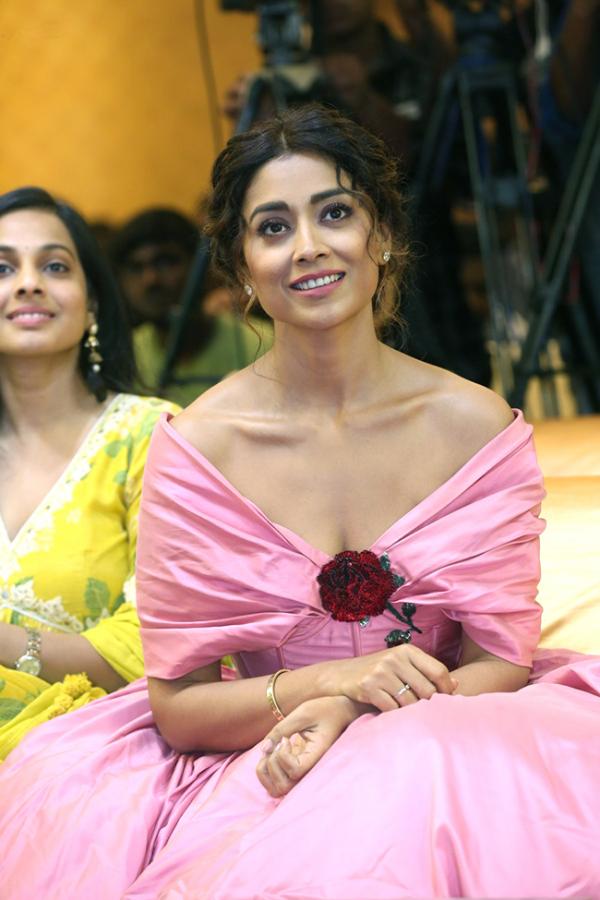 Actress Shriya Saran Stills - Sakshi8