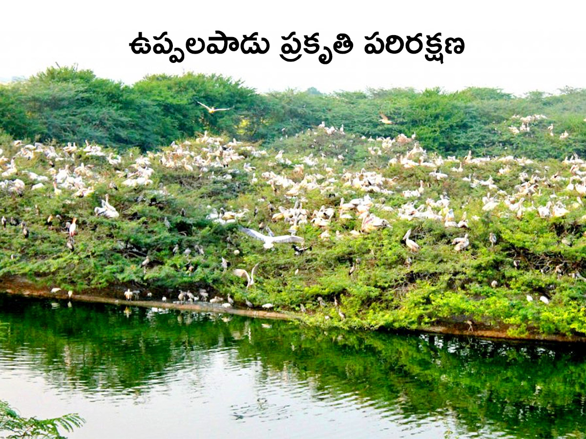 AP Tourism in Guntur Photos - Sakshi4