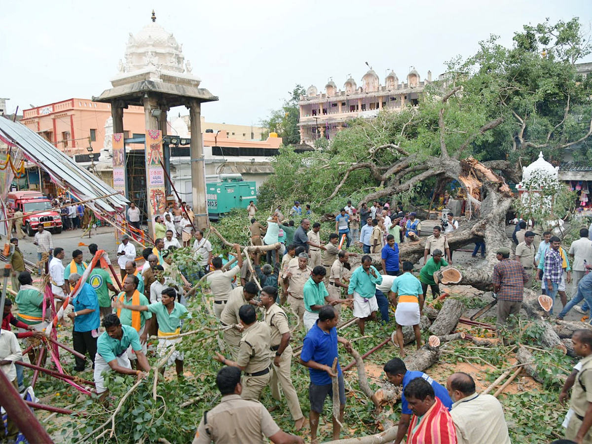 Devotee killed After Tree Fell On Him At Tirupati Govindaraja Swamy temple - Sakshi1