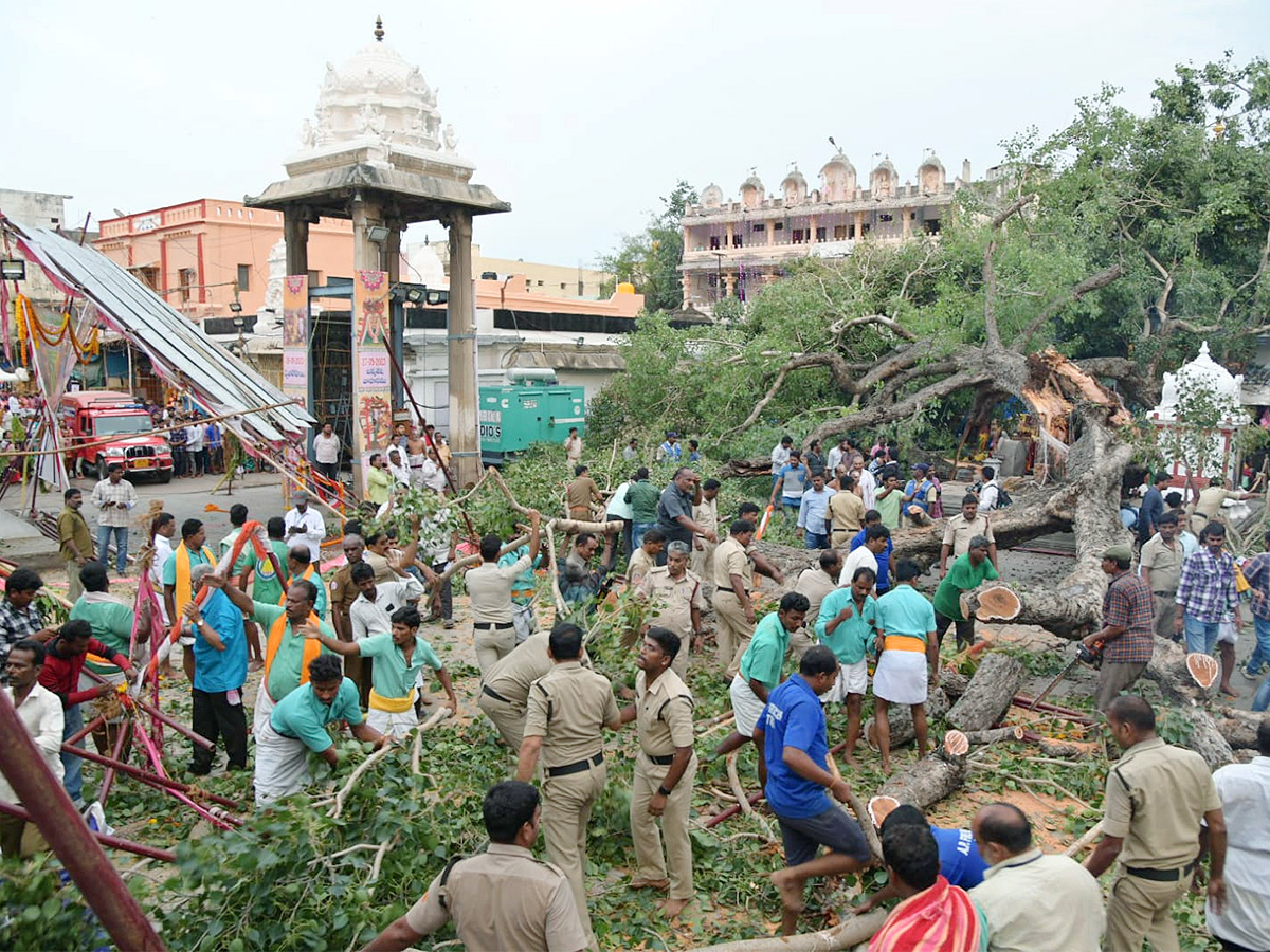 Devotee killed After Tree Fell On Him At Tirupati Govindaraja Swamy temple - Sakshi10