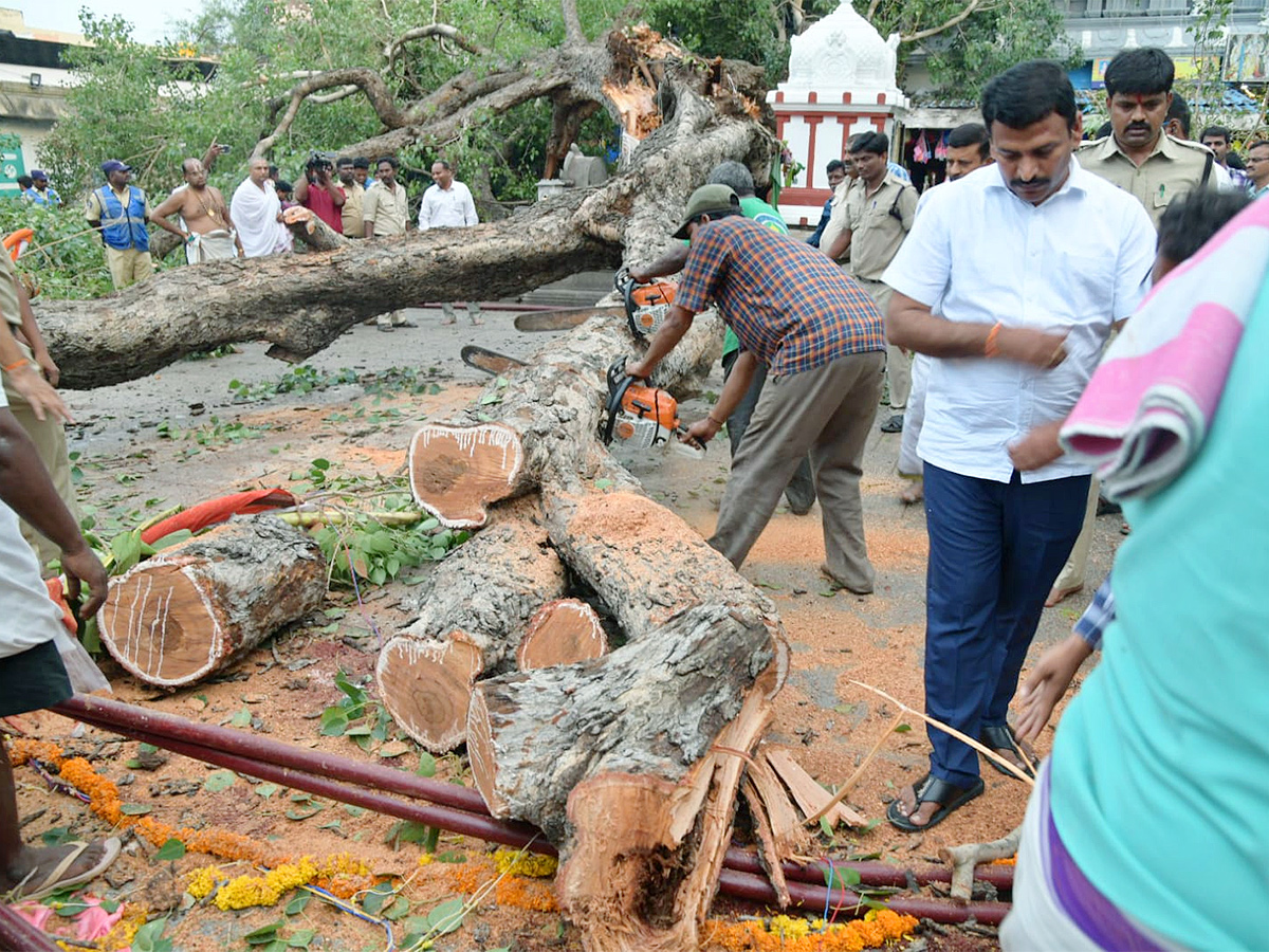 Devotee killed After Tree Fell On Him At Tirupati Govindaraja Swamy temple - Sakshi16