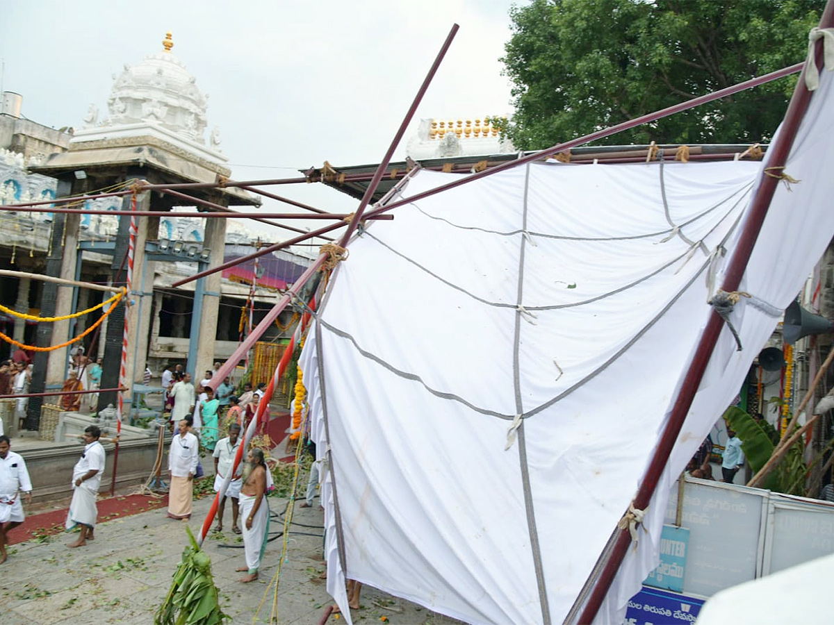 Devotee killed After Tree Fell On Him At Tirupati Govindaraja Swamy temple - Sakshi23