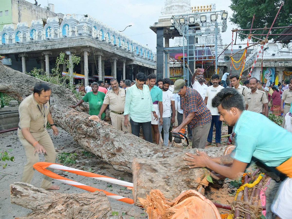 Devotee killed After Tree Fell On Him At Tirupati Govindaraja Swamy temple - Sakshi28