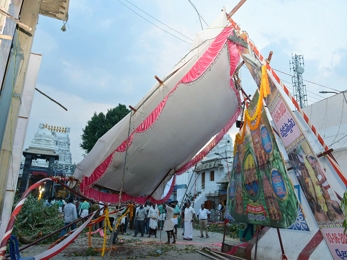 Devotee killed After Tree Fell On Him At Tirupati Govindaraja Swamy temple - Sakshi3