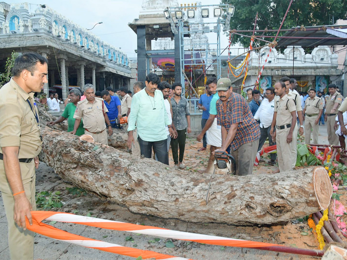 Devotee killed After Tree Fell On Him At Tirupati Govindaraja Swamy temple - Sakshi29