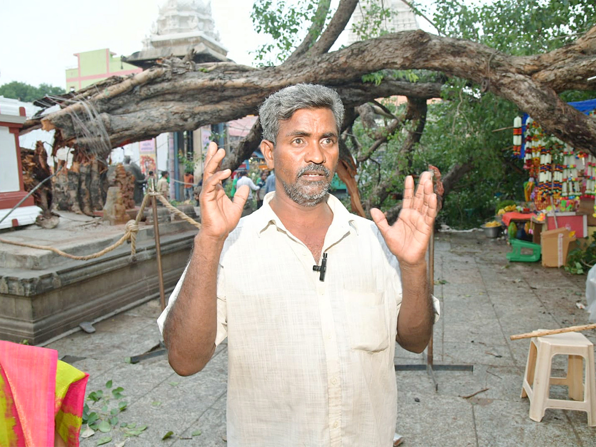 Devotee killed After Tree Fell On Him At Tirupati Govindaraja Swamy temple - Sakshi7