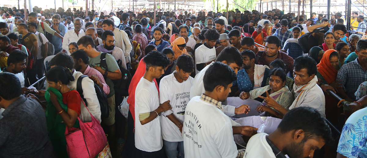 Fish Medicine Distribution Nampally Exhibition Grounds Photos - Sakshi13