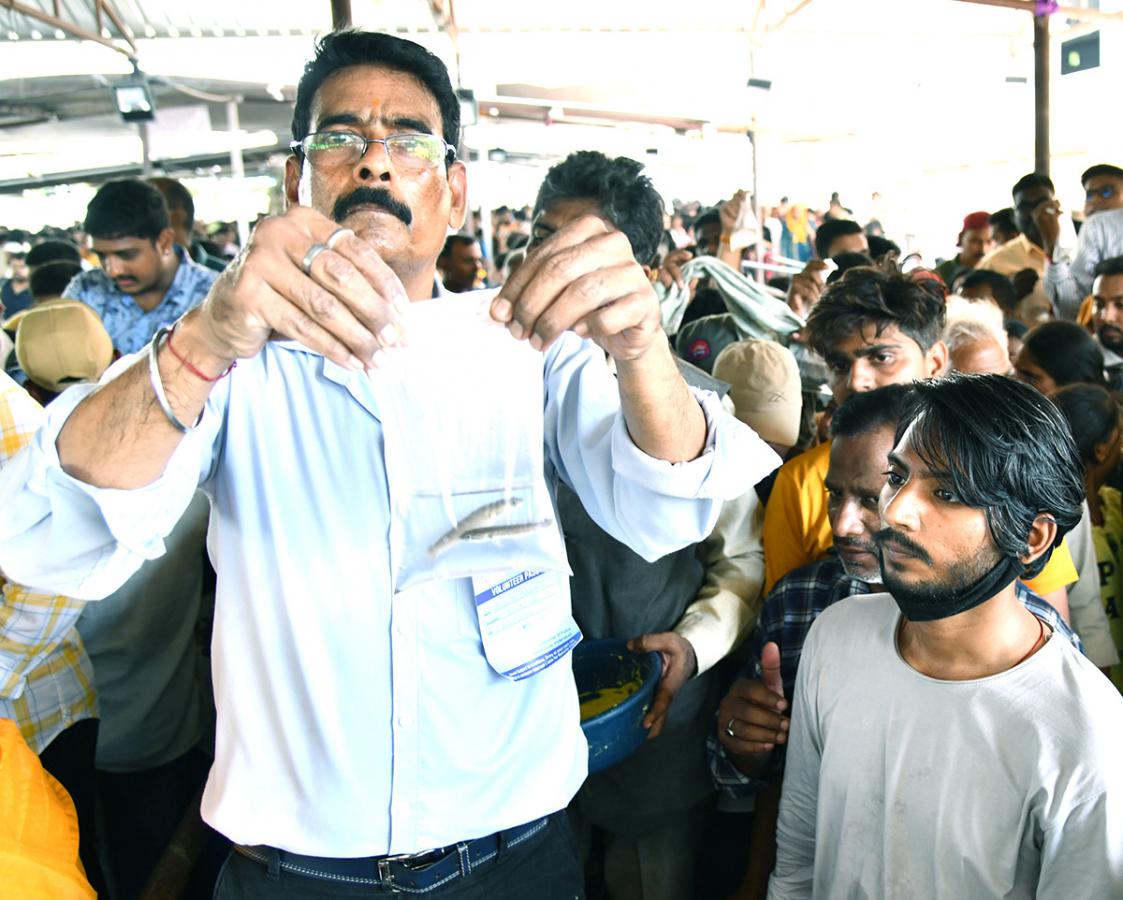 Fish Medicine Distribution Nampally Exhibition Grounds Photos - Sakshi24