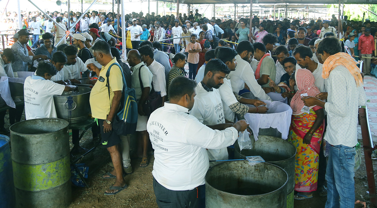 Fish Medicine Distribution Nampally Exhibition Grounds Photos - Sakshi32