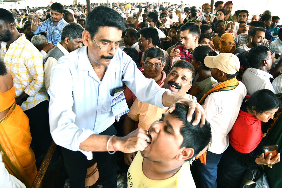 Fish Medicine Distribution Nampally Exhibition Grounds Photos - Sakshi34