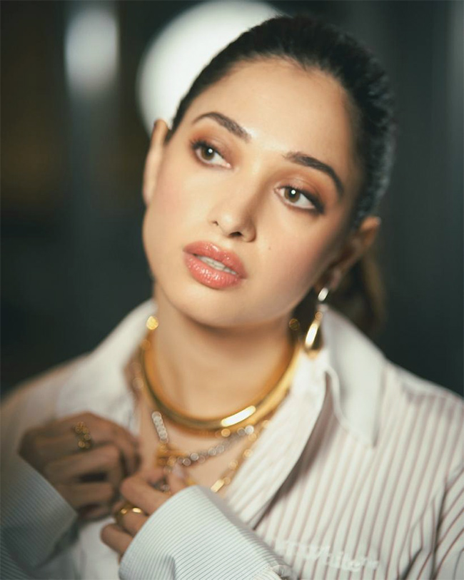 tamannaah bhatia movies - Sakshi14