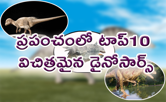 Top 10 Most Bizarre Dinosaurs - Sakshi1