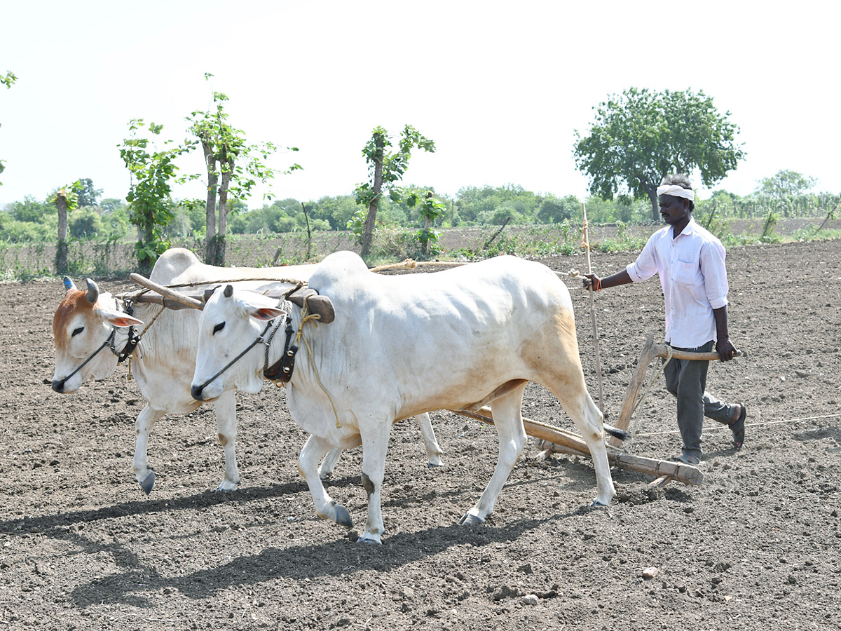 Best Photos of The Week in AP and Telangana Photo Gallery - Sakshi4