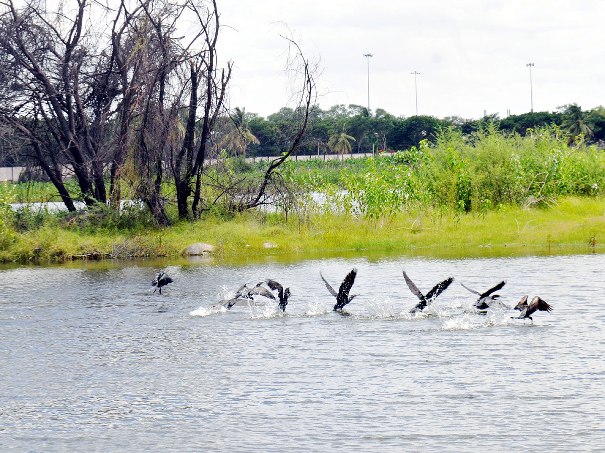 Best Photos of The Week in AP and Telangana Photo Gallery - Sakshi5