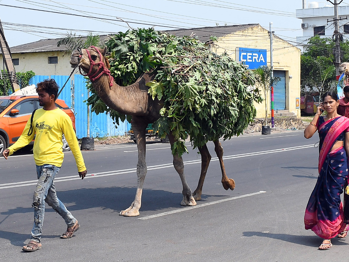 Best Photos of The Week in AP and Telangana Photo Gallery - Sakshi55