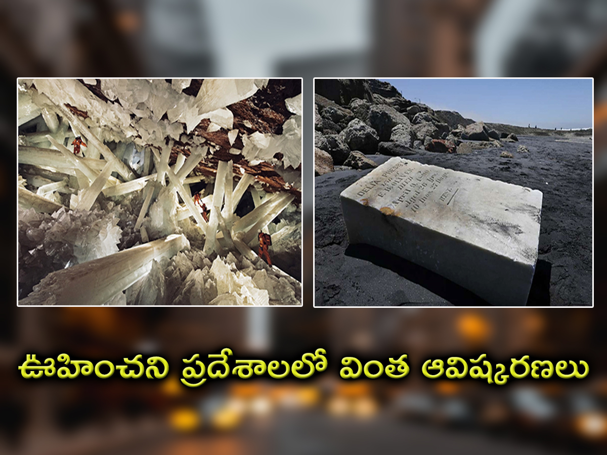 Bizarre discoveries in the most unexpected places - Sakshi1