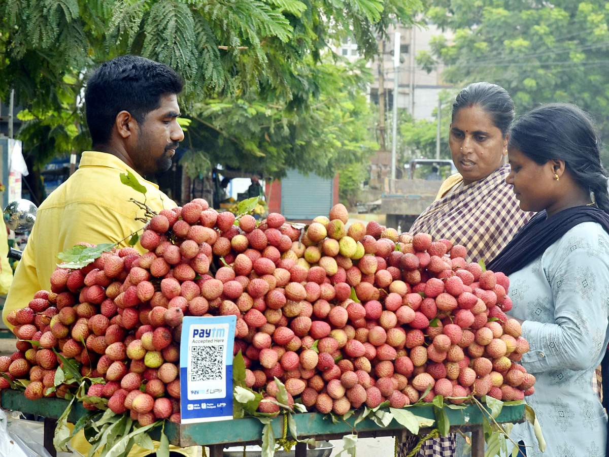 Best Photos of The Week in AP and Telangana Photo Gallery - Sakshi13