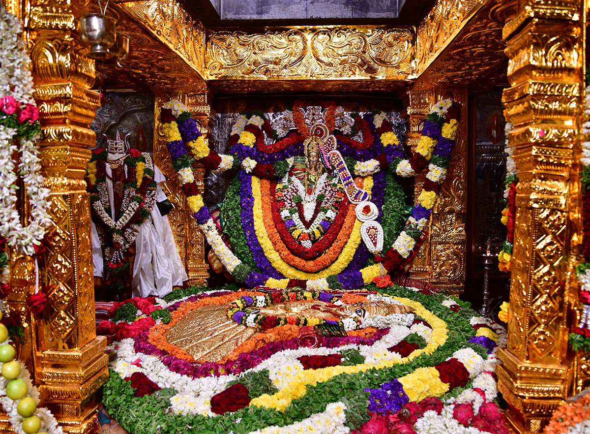 Balkampet Yellamma Kalyanotsavam Hyderabad  - Sakshi43