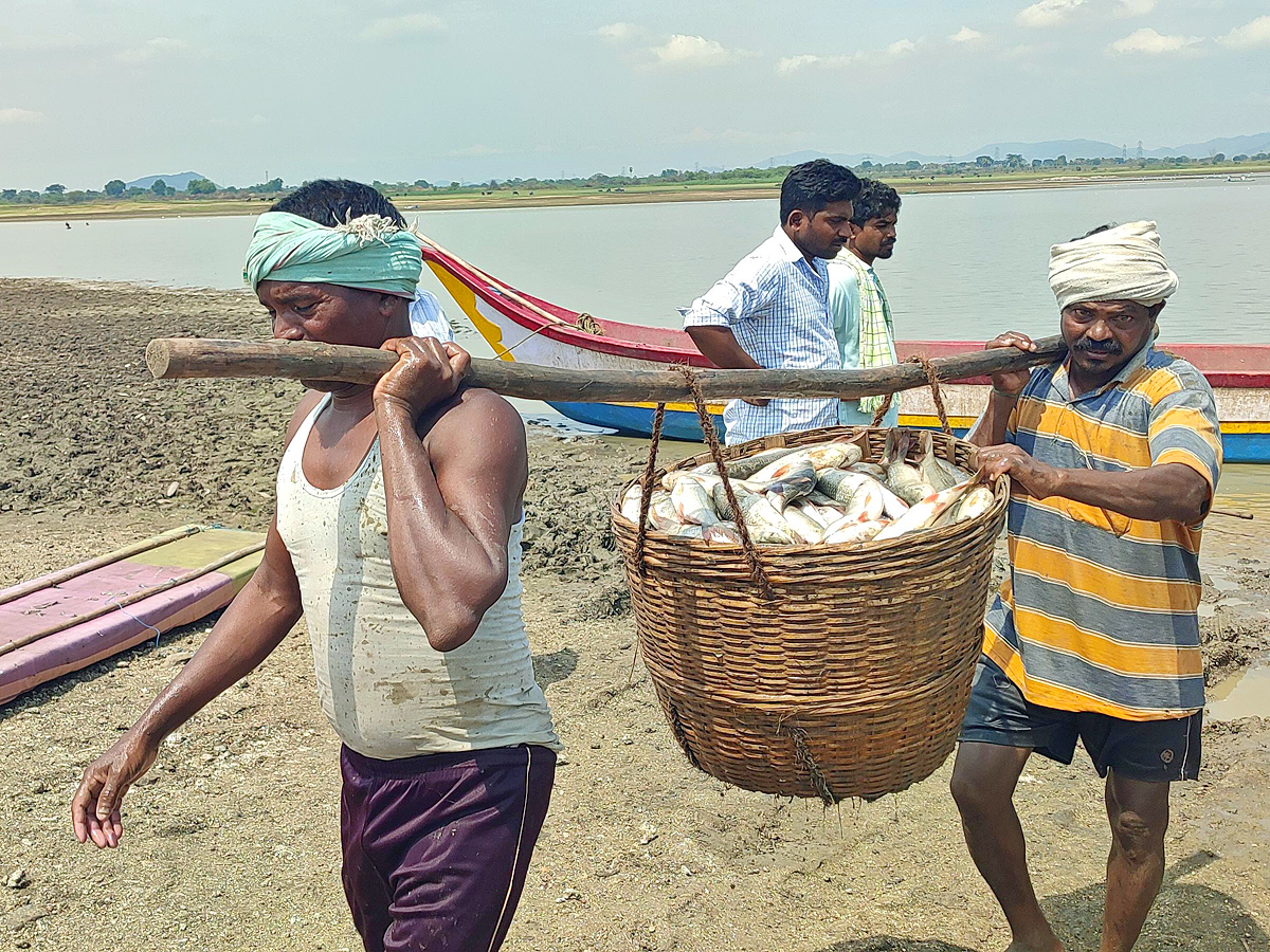 Best Photos of The Week in AP and Telangana Photo Gallery - Sakshi12