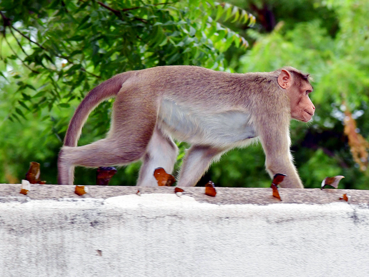 Best Photos of The Week in AP and Telangana Photo Gallery - Sakshi4