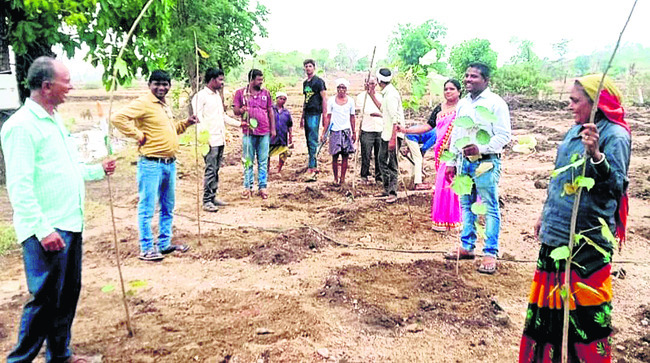 మామడ మండలంలో పొనికి మొక్కలు నాటుతున్న అధికారులు2