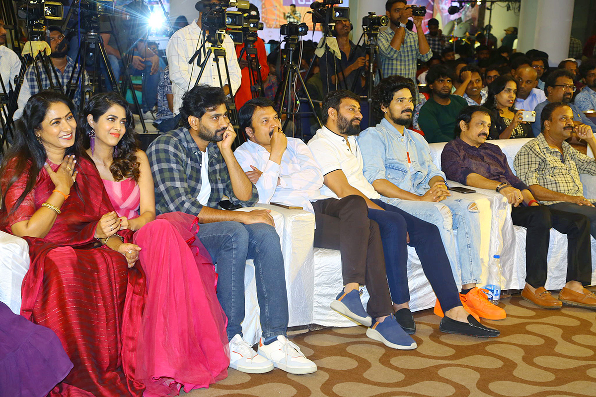 Narayana and Co Pre Release Event Pics - Sakshi11