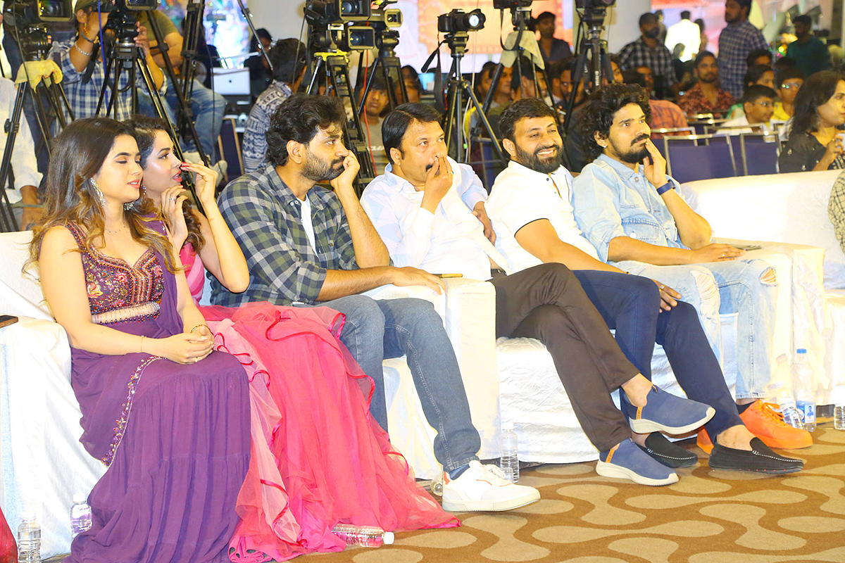 Narayana and Co Pre Release Event Pics - Sakshi18