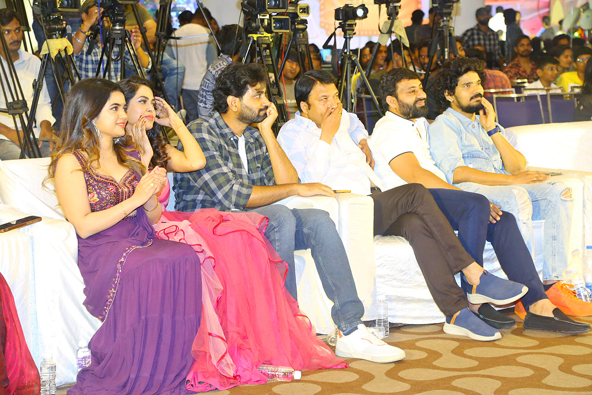 Narayana and Co Pre Release Event Pics - Sakshi19