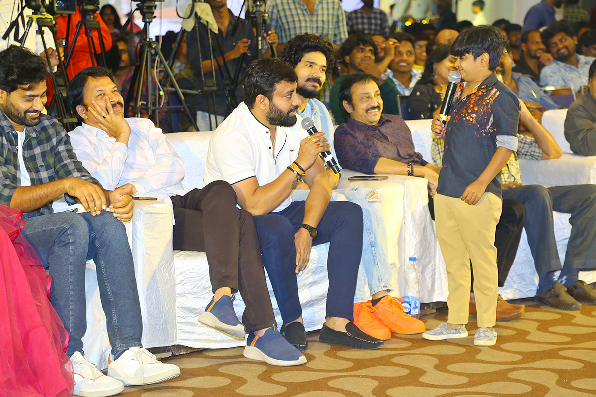 Narayana and Co Pre Release Event Pics - Sakshi23