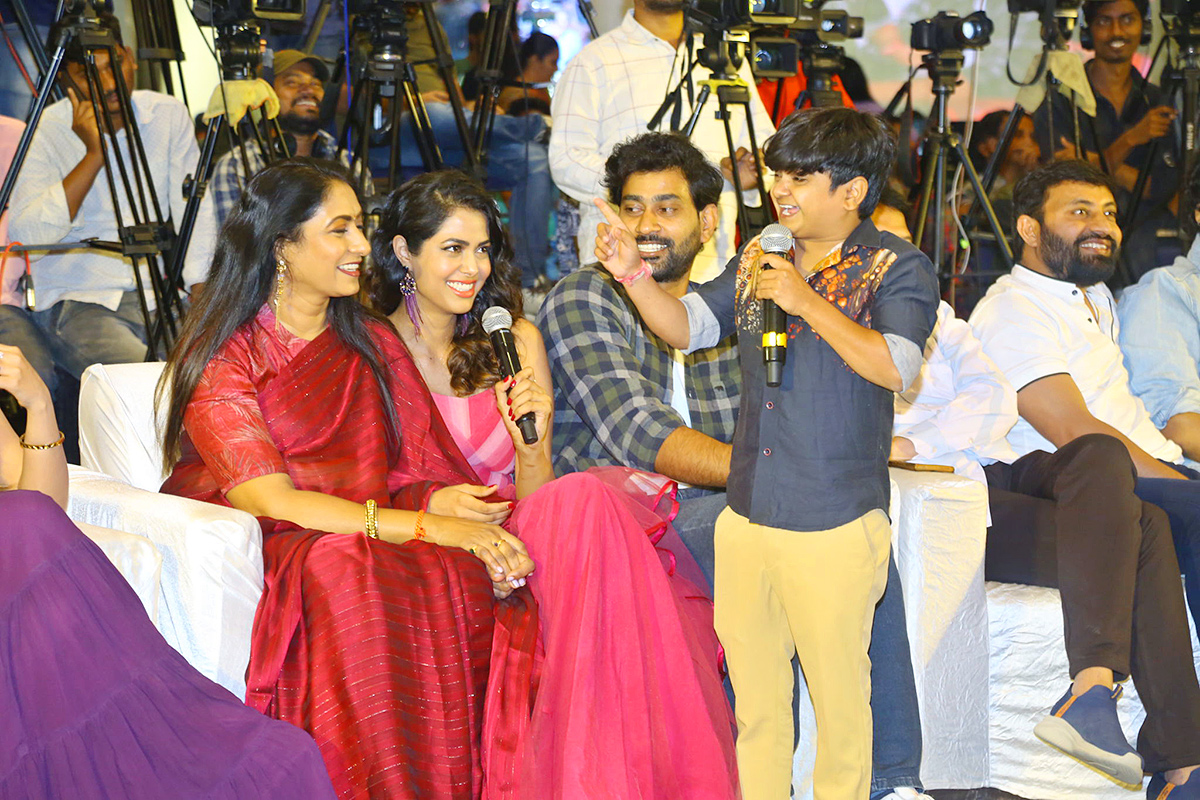 Narayana and Co Pre Release Event Pics - Sakshi24