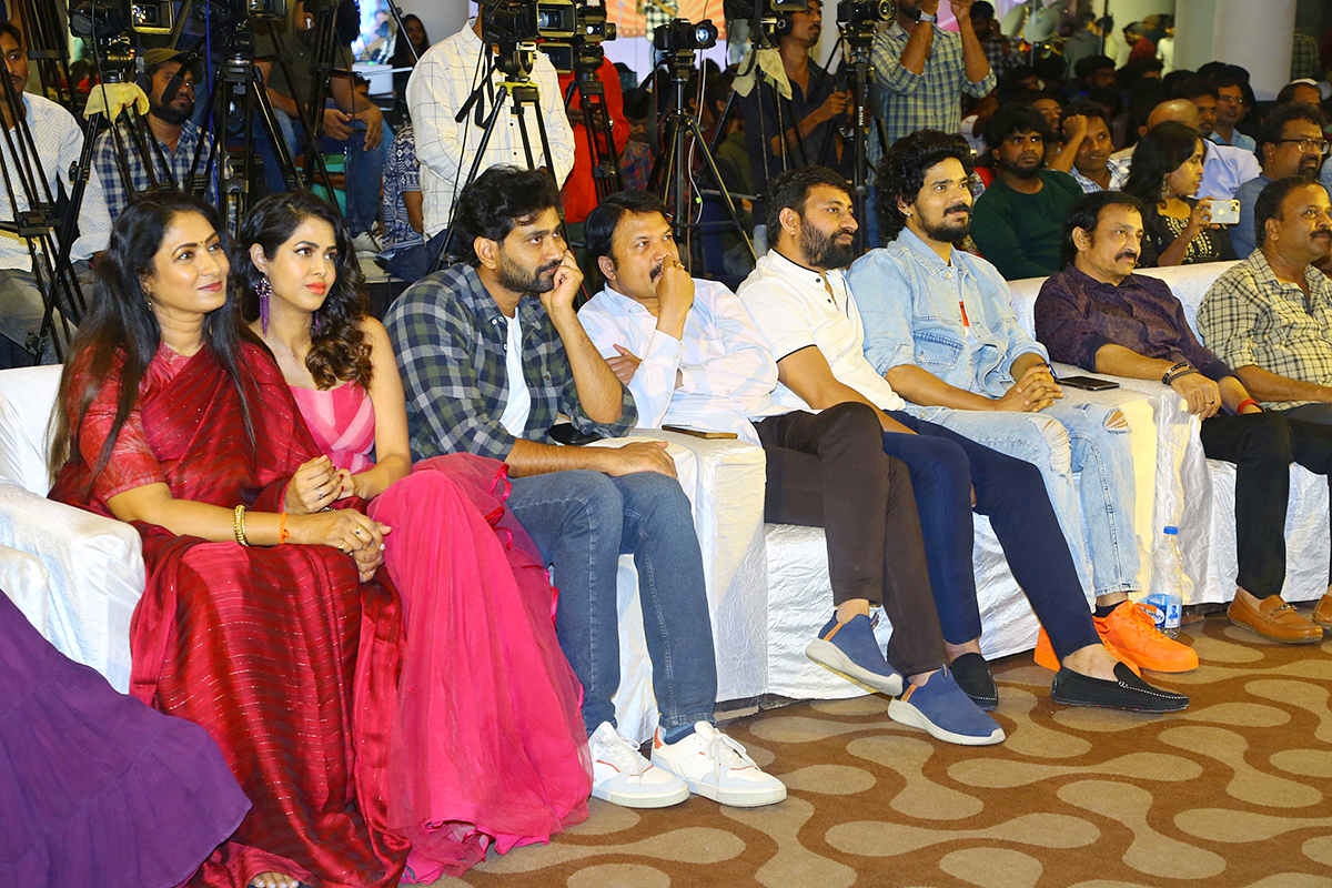 Narayana and Co Pre Release Event Pics - Sakshi30