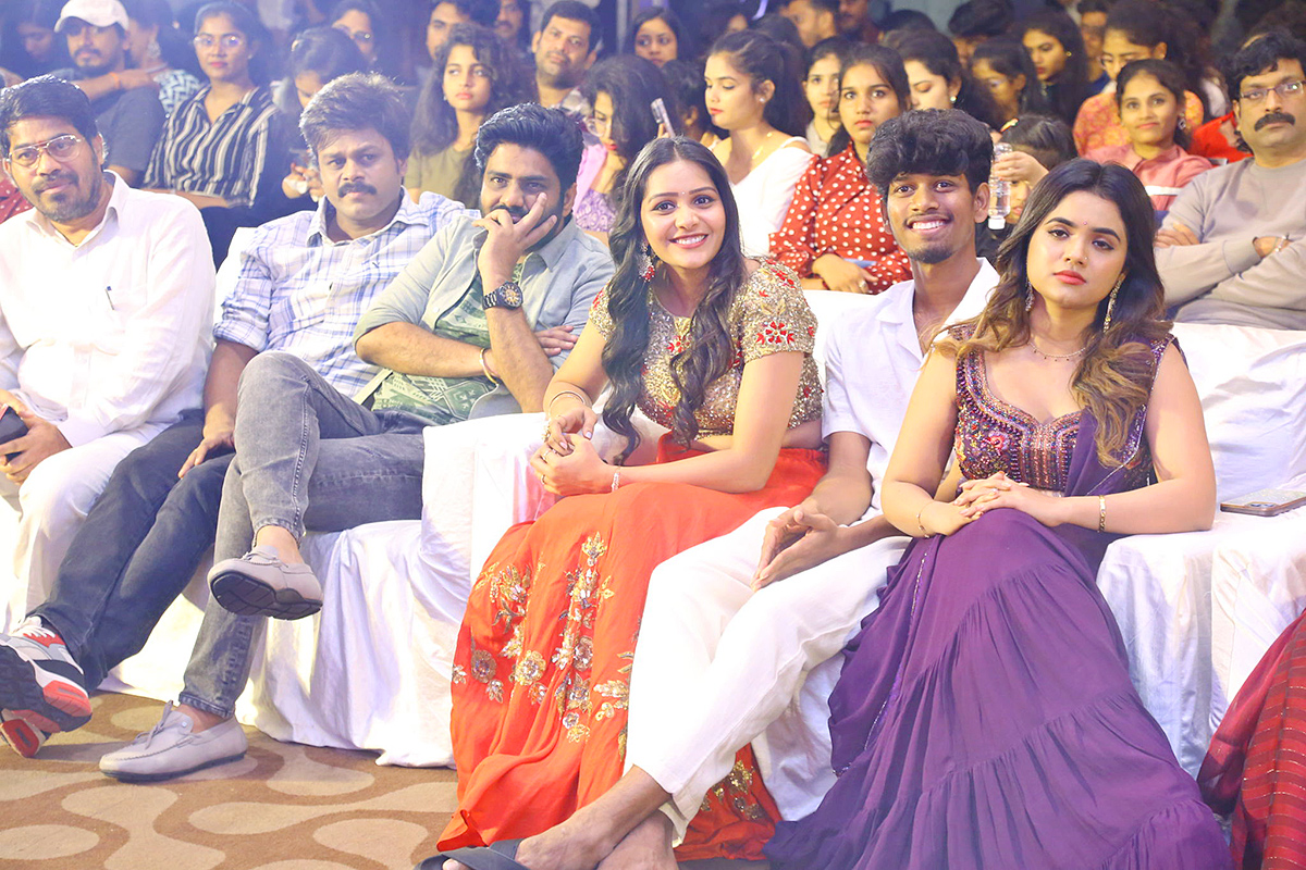 Narayana and Co Pre Release Event Pics - Sakshi5