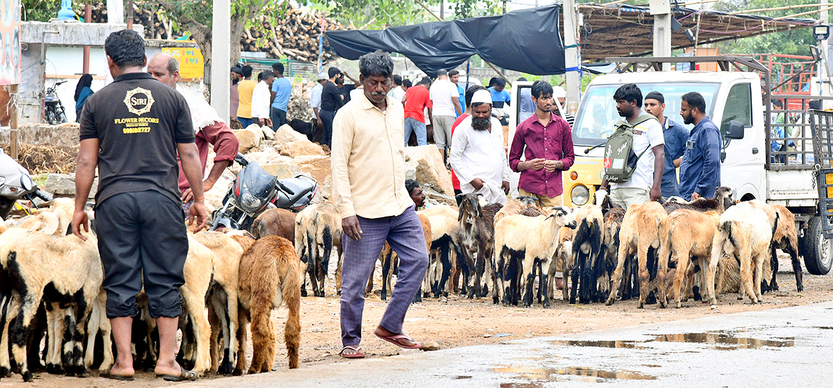 Eid al Adha Mubarak 2023 Celebrations - Sakshi14