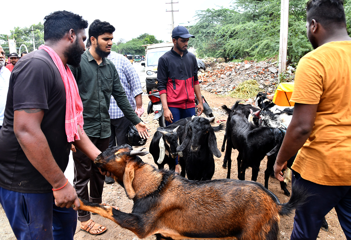 Eid al Adha Mubarak 2023 Celebrations - Sakshi15