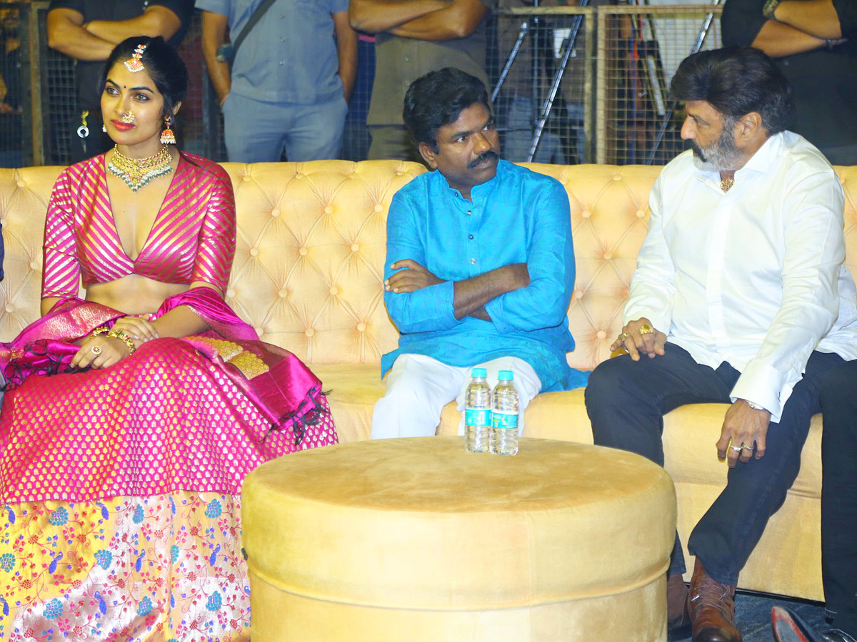 Rudrangi Pre Release Event Photos - Sakshi23