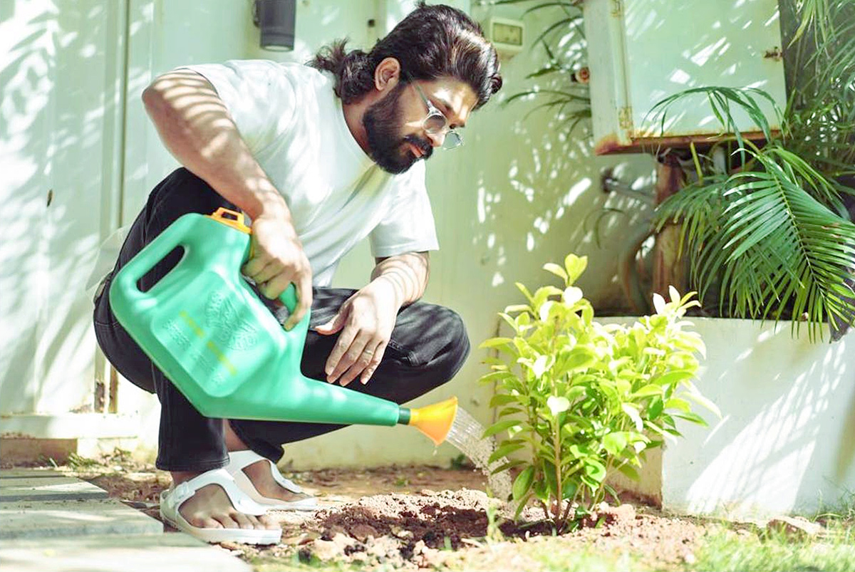 Celebrities Plants Tree Sapling On World Environment Day - Sakshi1