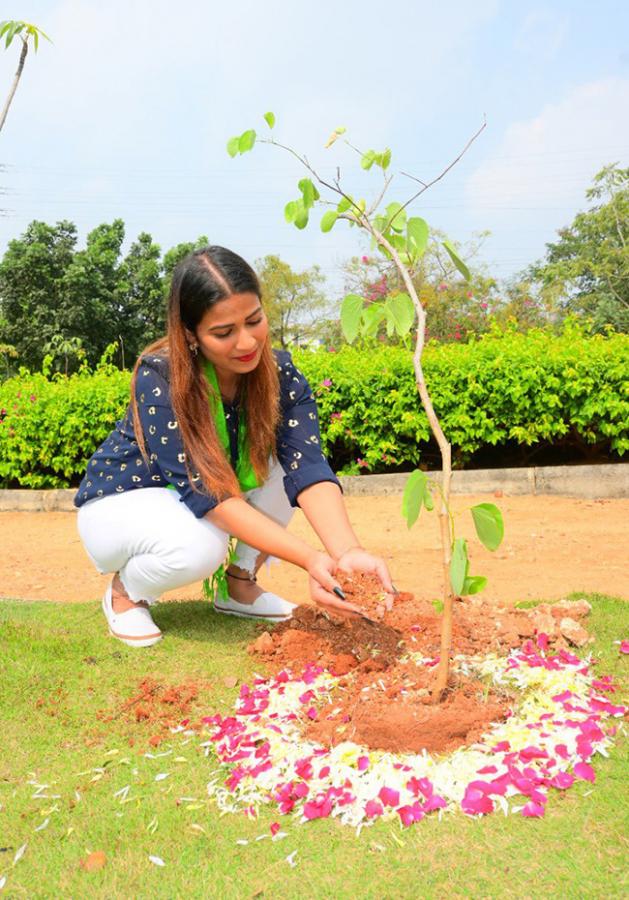 Celebrities Plants Tree Sapling On World Environment Day - Sakshi11