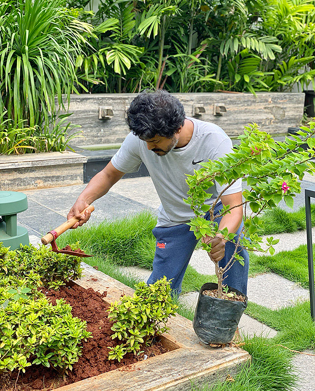 Celebrities Plants Tree Sapling On World Environment Day - Sakshi12