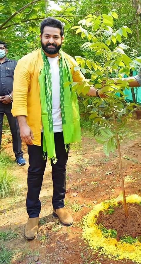 Celebrities Plants Tree Sapling On World Environment Day - Sakshi2