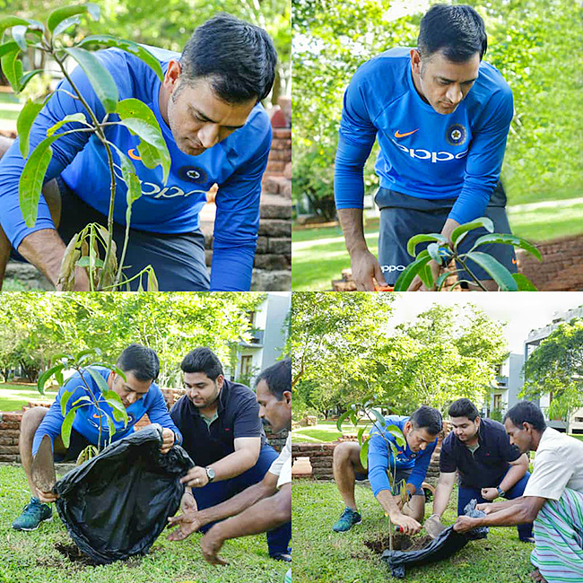 Celebrities Plants Tree Sapling On World Environment Day - Sakshi5