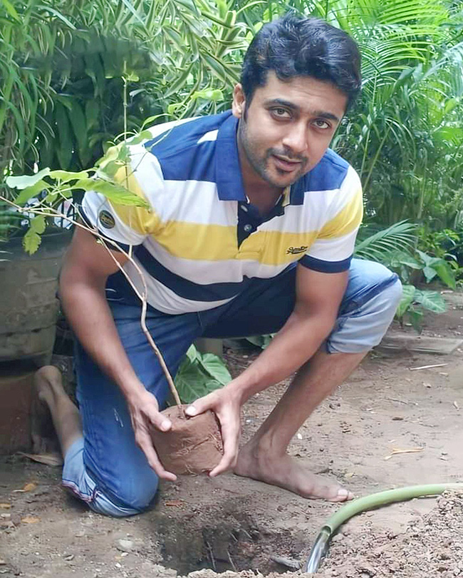 Celebrities Plants Tree Sapling On World Environment Day - Sakshi6